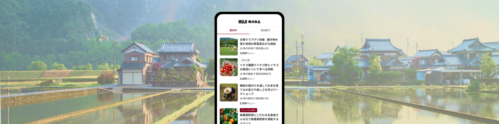 水田と家の風景